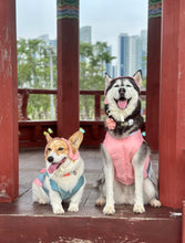 Load image into Gallery viewer, Custom-Made Traditional Hanbok