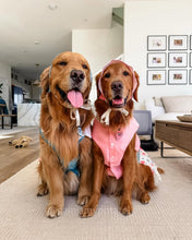 Load image into Gallery viewer, Custom-Made Traditional Hanbok