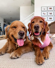 Load image into Gallery viewer, Custom-Made Traditional Hanbok