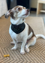 Load image into Gallery viewer, Chase’s Reflective Bandana