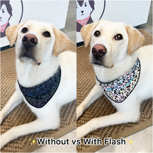 Load image into Gallery viewer, Chase’s Reflective Bandana