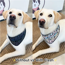 Load image into Gallery viewer, Chase’s Reflective Bandana
