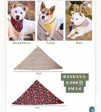 Load image into Gallery viewer, YPAP Fundraiser Bandana
